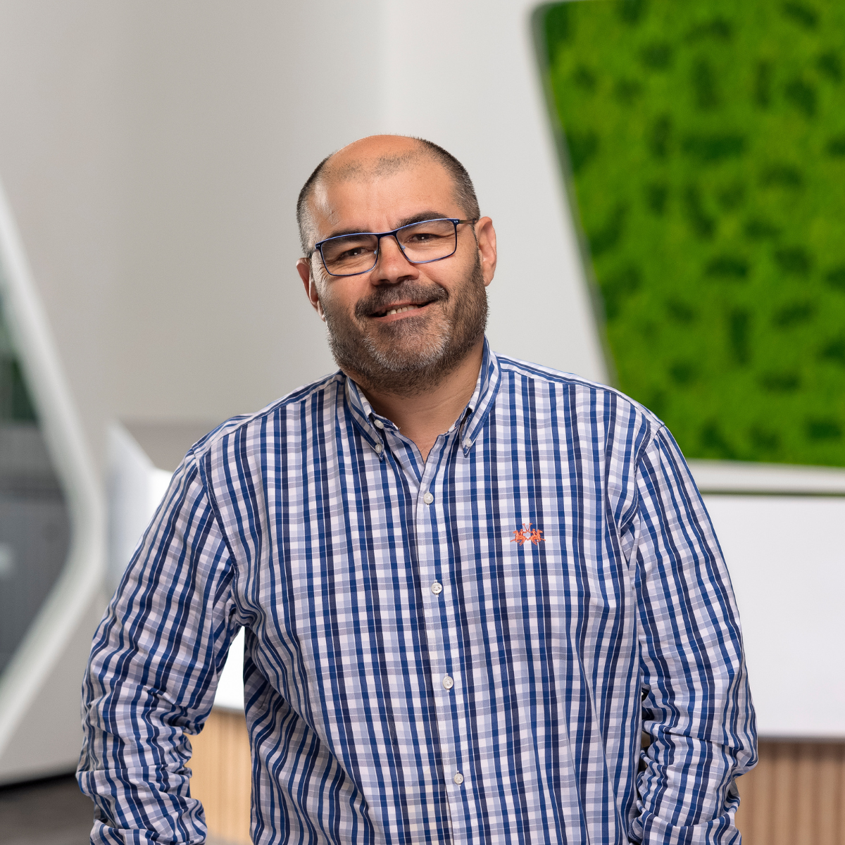 Nelson Wilson - Principales insights del estudio 
