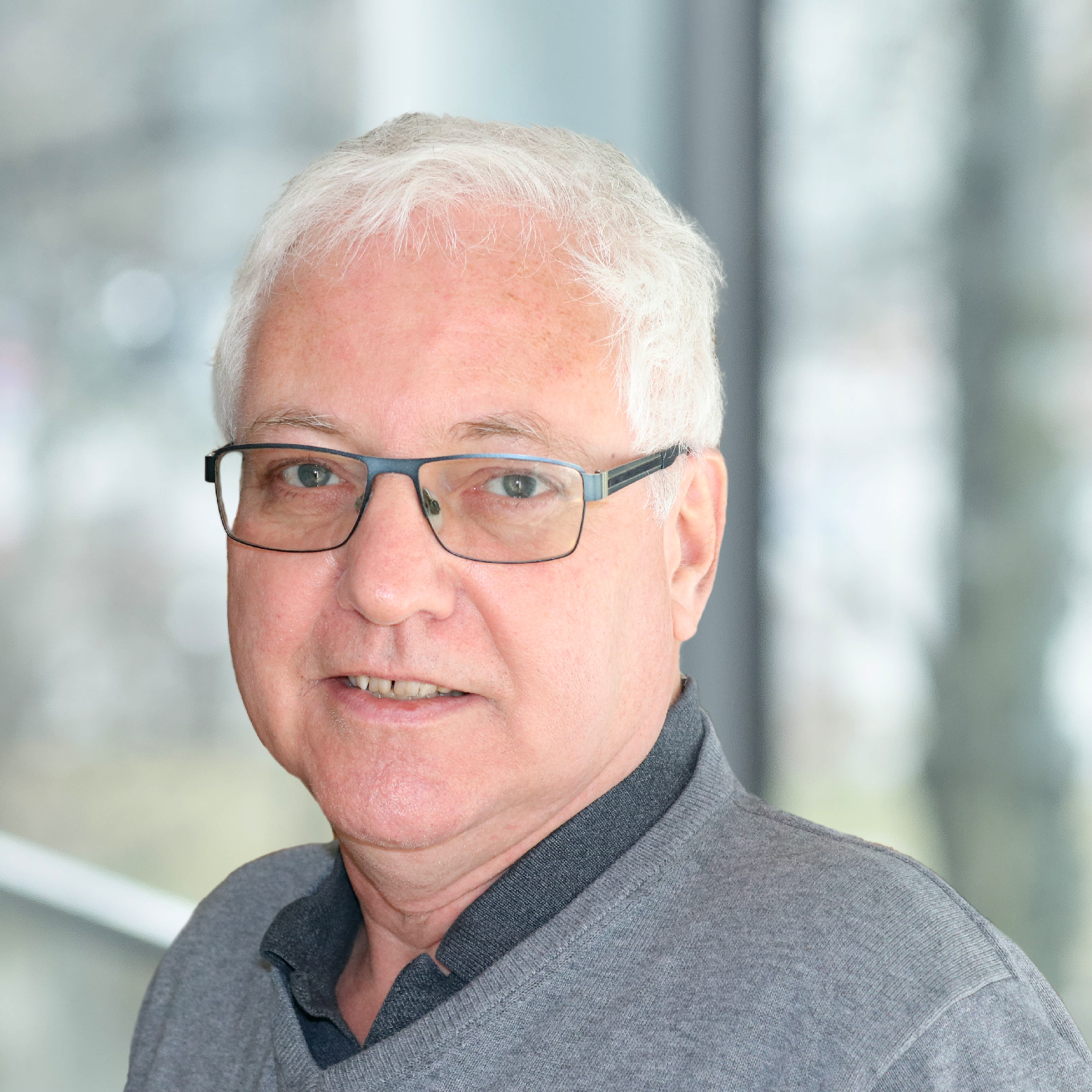 Martin Landua, NTT DATA