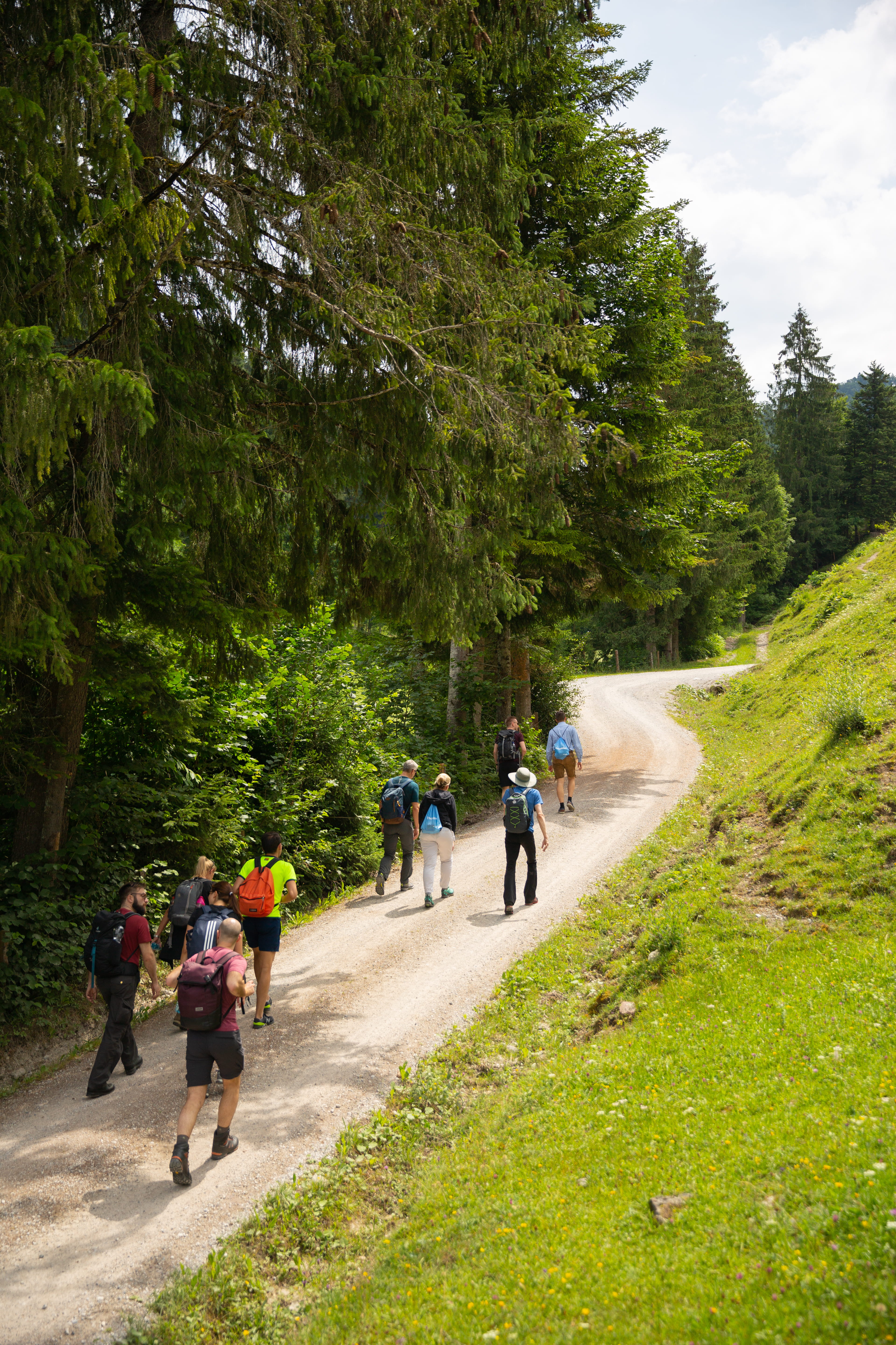 Eine Gruppe von Menschen, die einen Hügel hinuntergehen