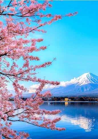 Kirschblüte vor dem Fuji - Agentforce World Tour 2025