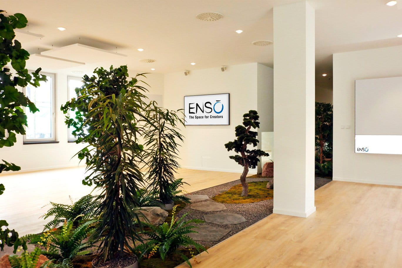 ein Zimmer mit Pflanzen und einem Fernseher