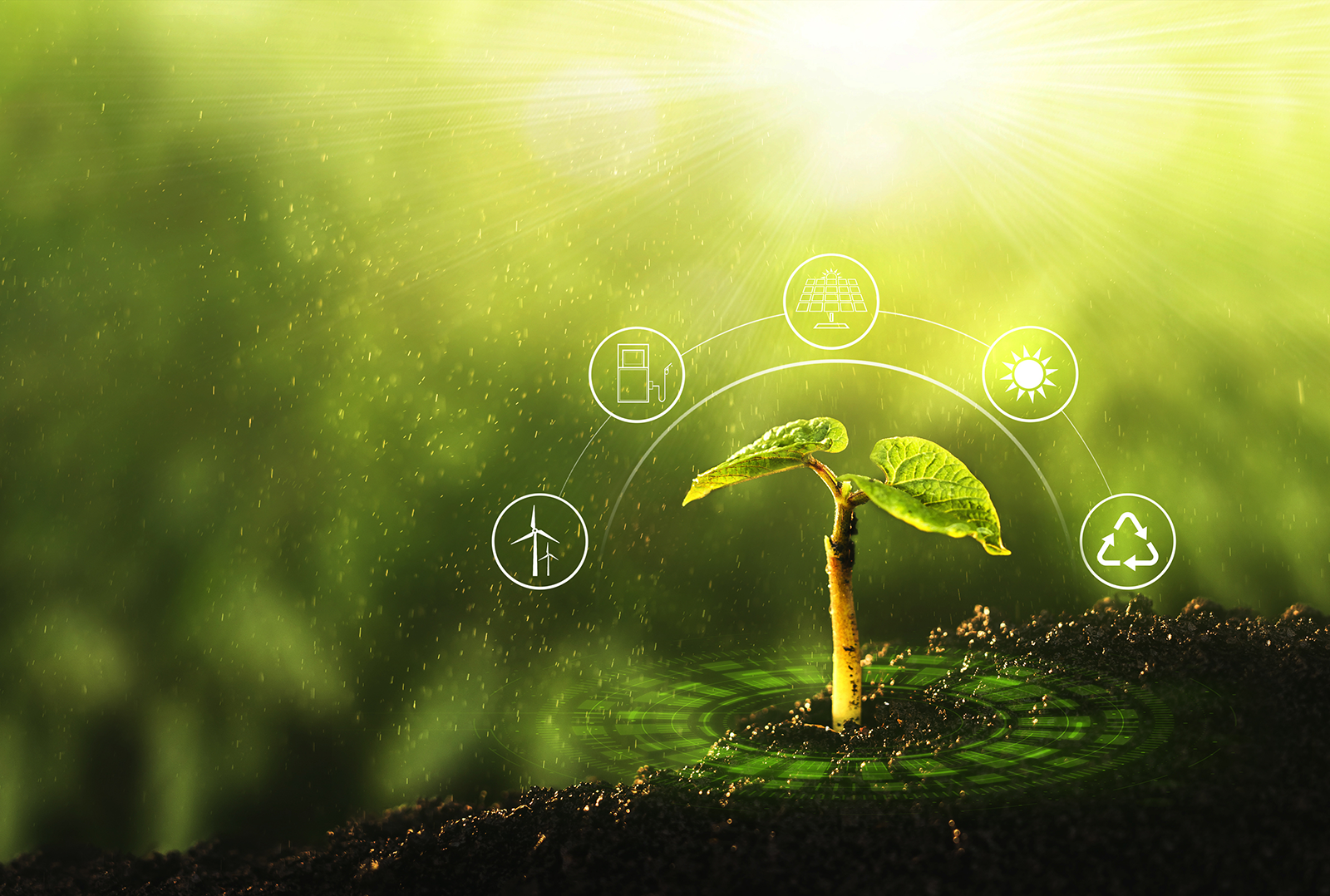 sostenibilità ambientale_ verde