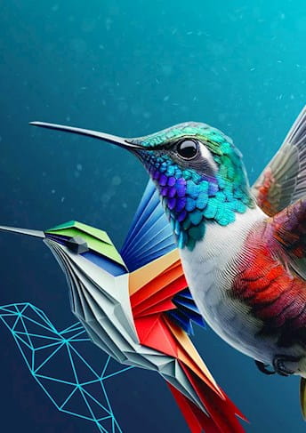 Metamorfosi dell'immagine di un colibrì da uno stadio solo delineato a uno iperrealistico