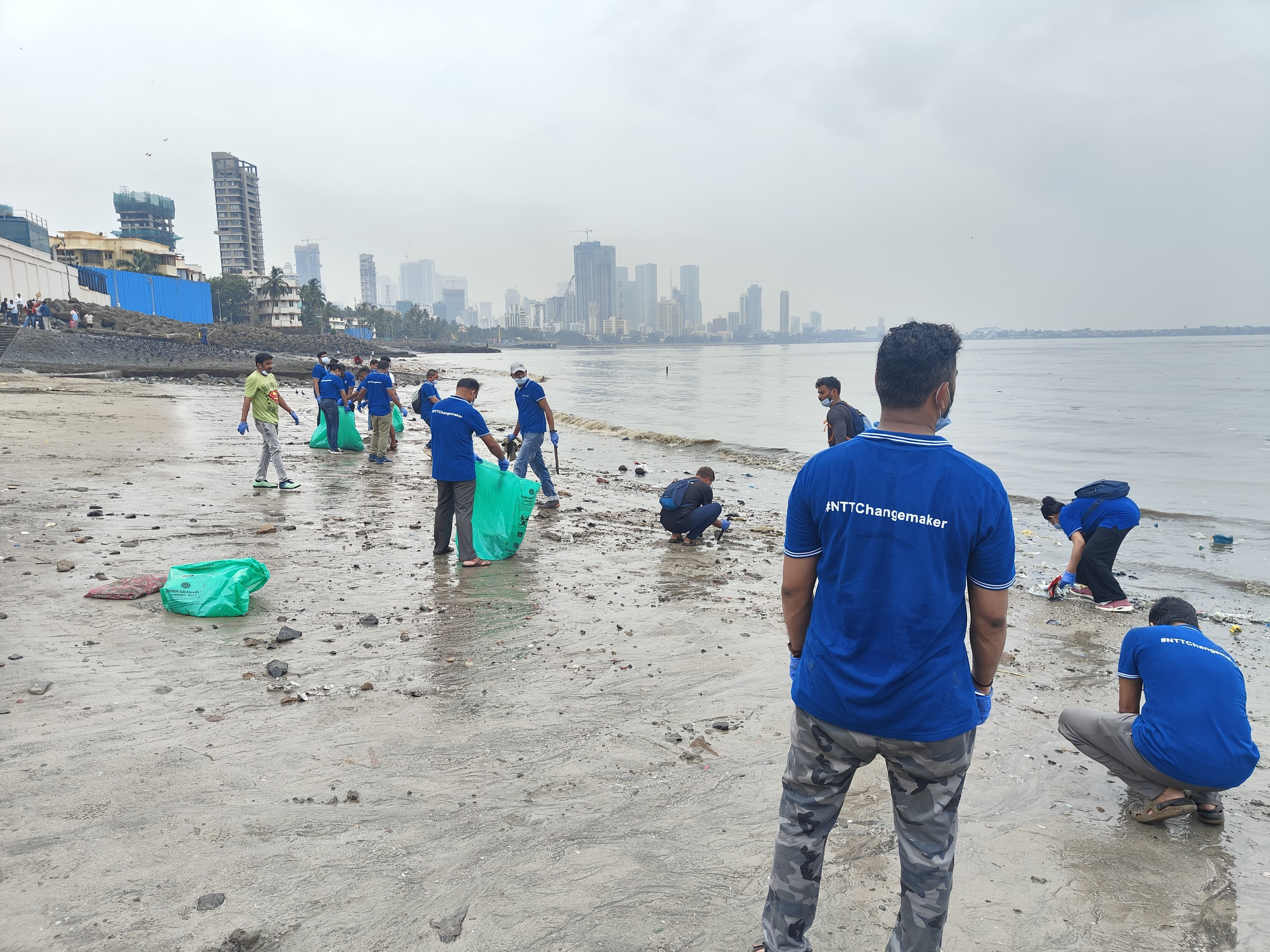 Group of people cleaning the beach.