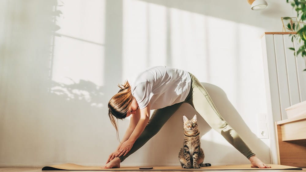 Donna che fa yoga e gatto