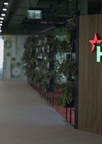 Heineken
