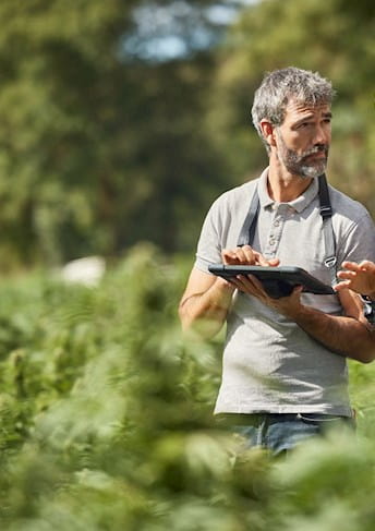 Due uomini che parlano in un prato
