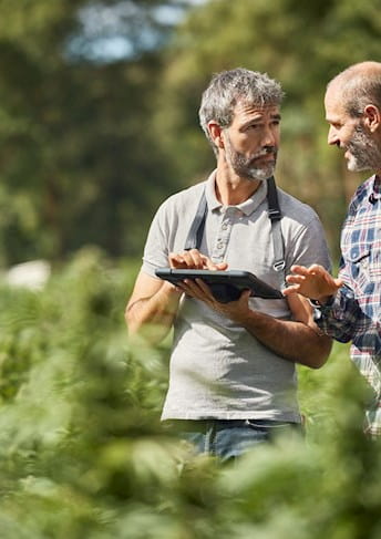 men looking at a tablet in a garden