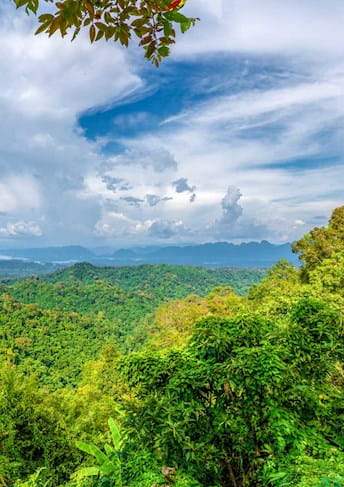 Green scenery