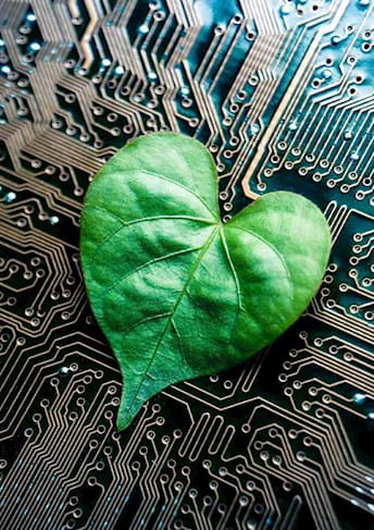 Foglia verde su componente software