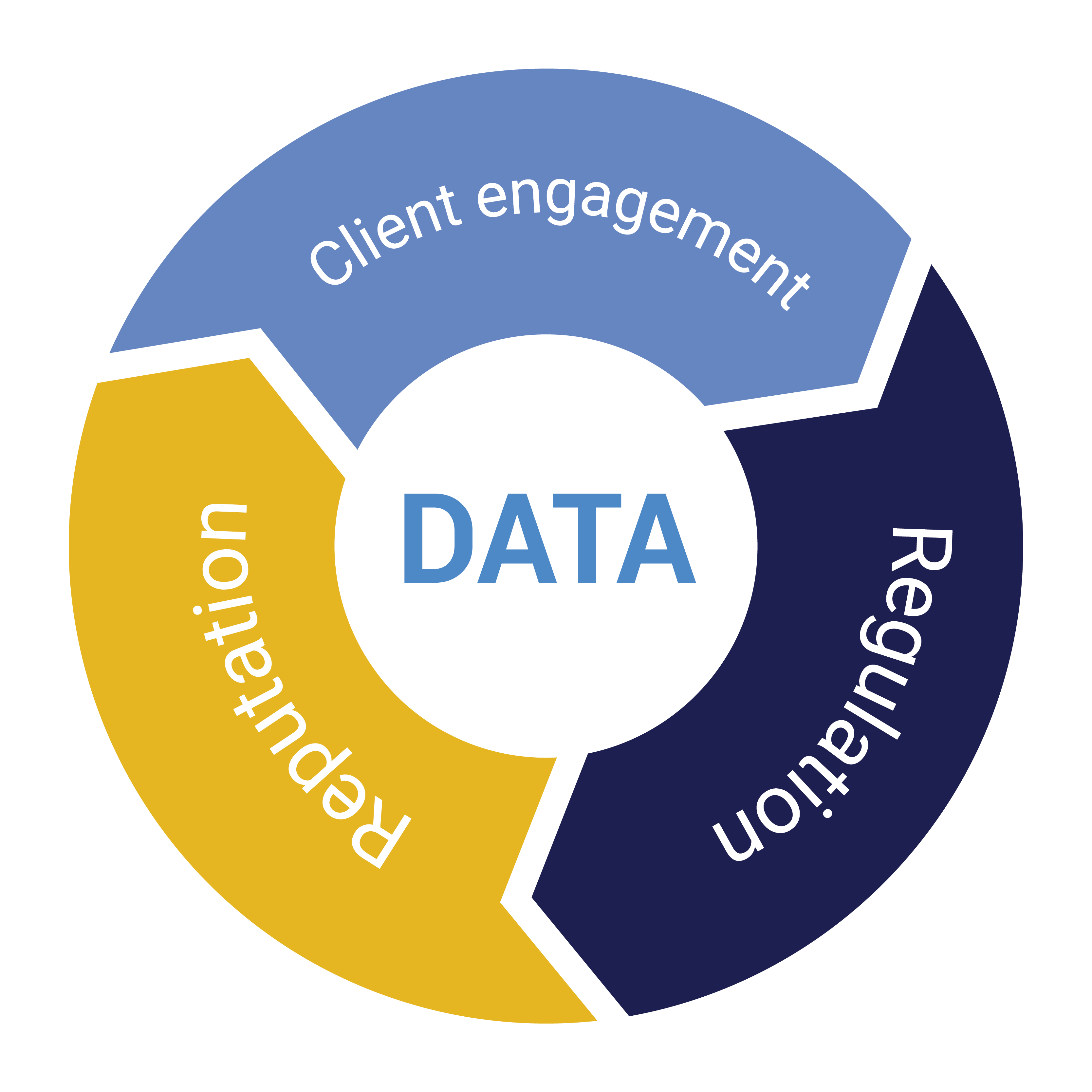 Client engagement, regulation, reputation cycle