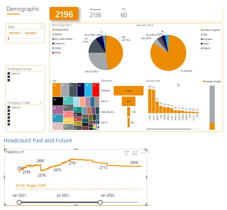 HCM analytics powerbi example
