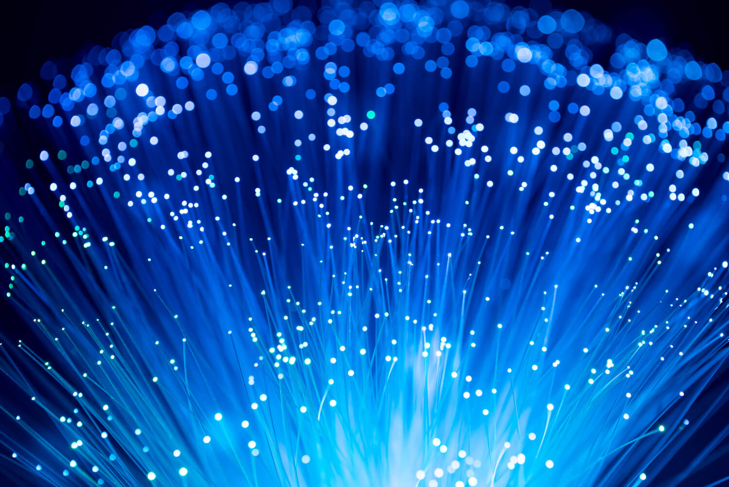 a close up of a blue fiber optic cable