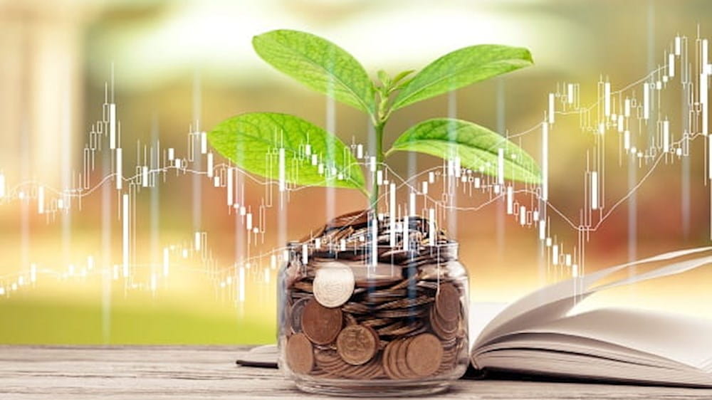 ESG - environmental social governance. plant growing in a pot of coins