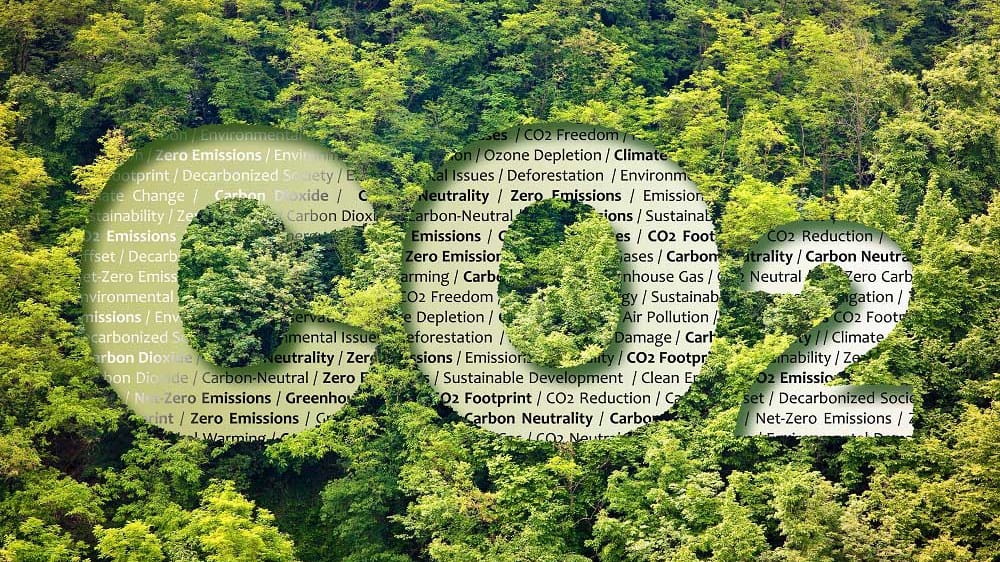 A forest with the CO 2 text on top